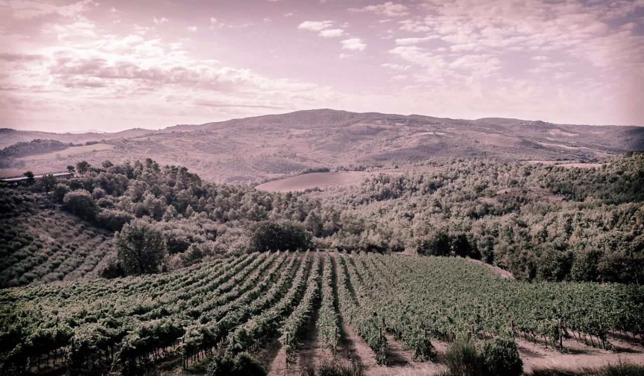 Agriturismo Fattoria Di Monticello San Venanzo Екстер'єр фото